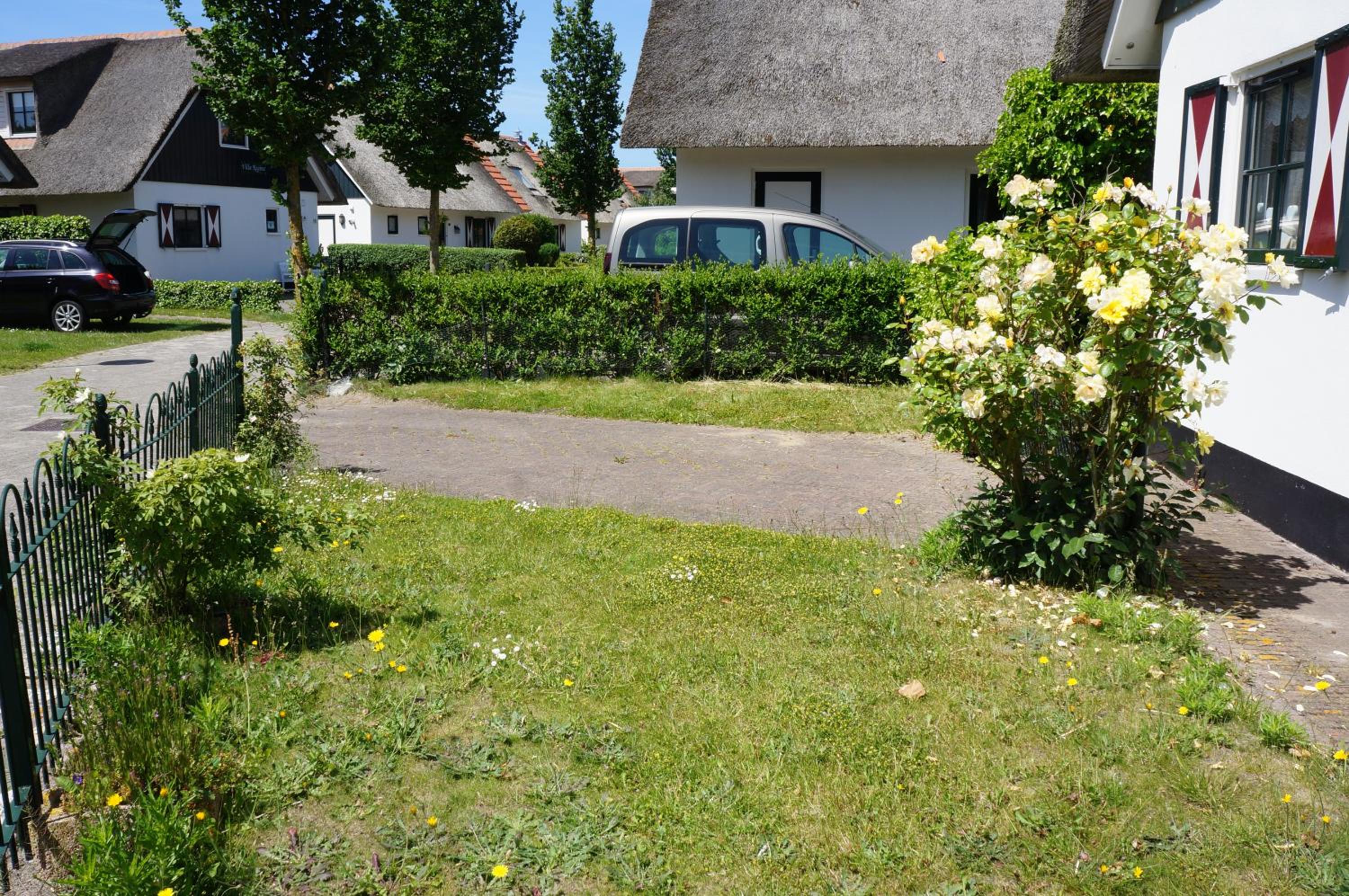 Photo 7