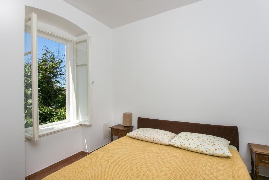 Apartment Tranquilo