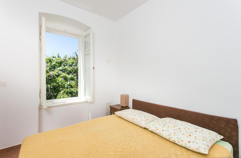 Apartment Tranquilo