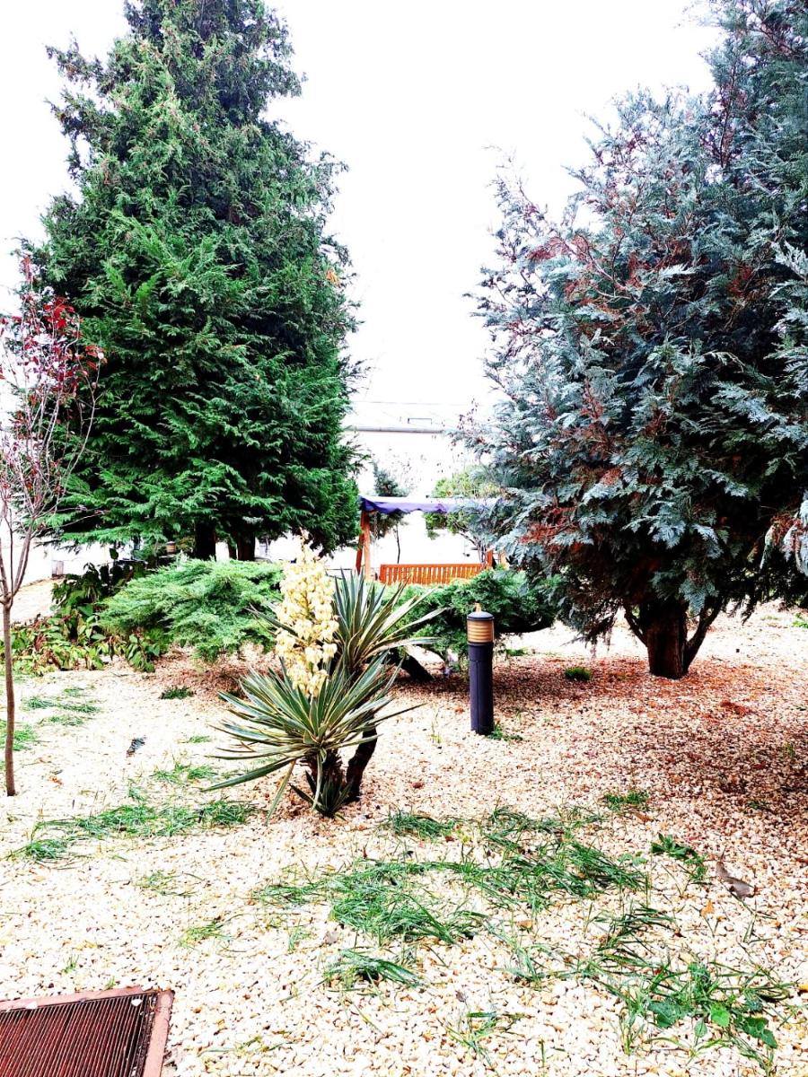 children's play area
