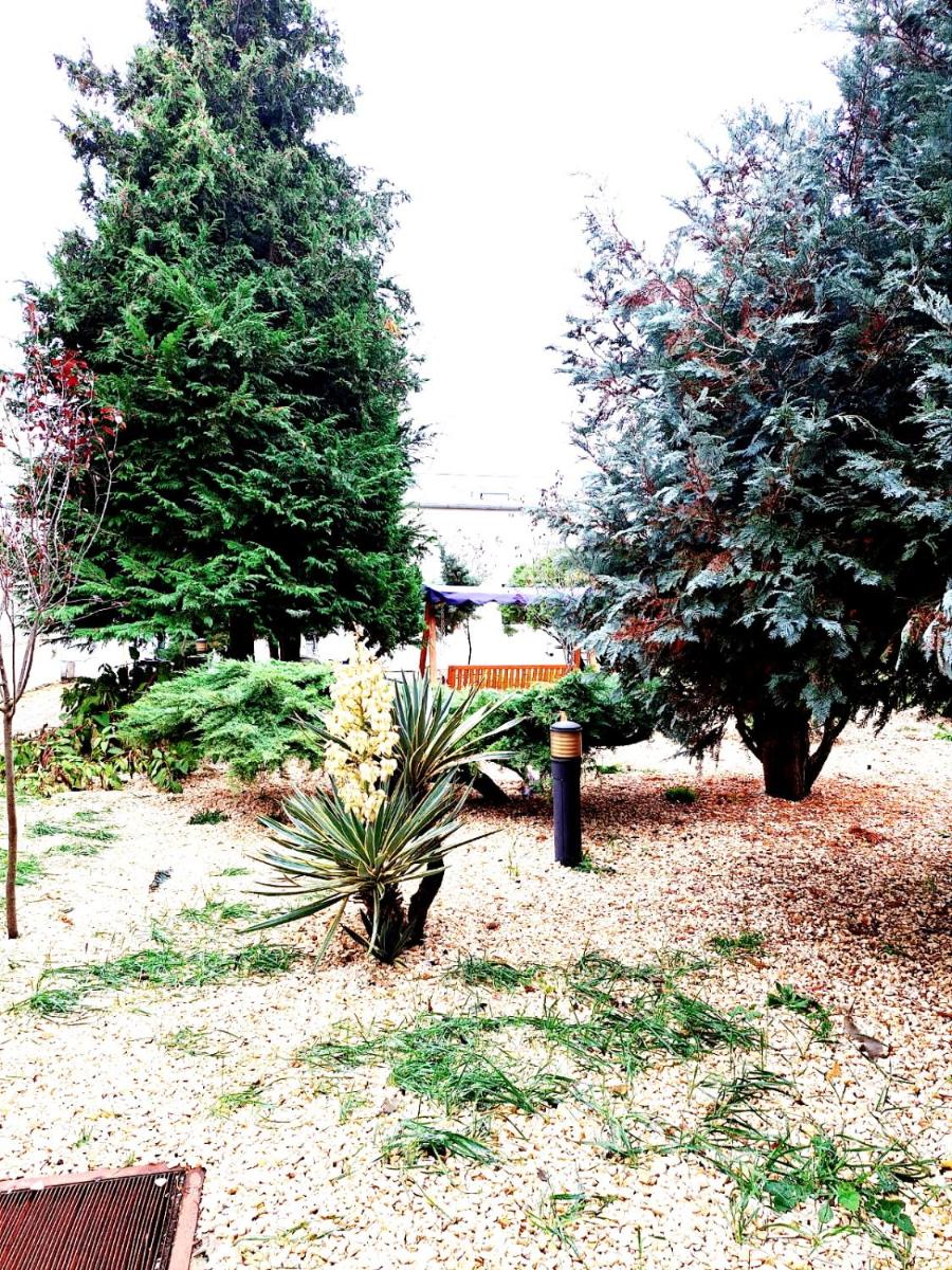 children's play area