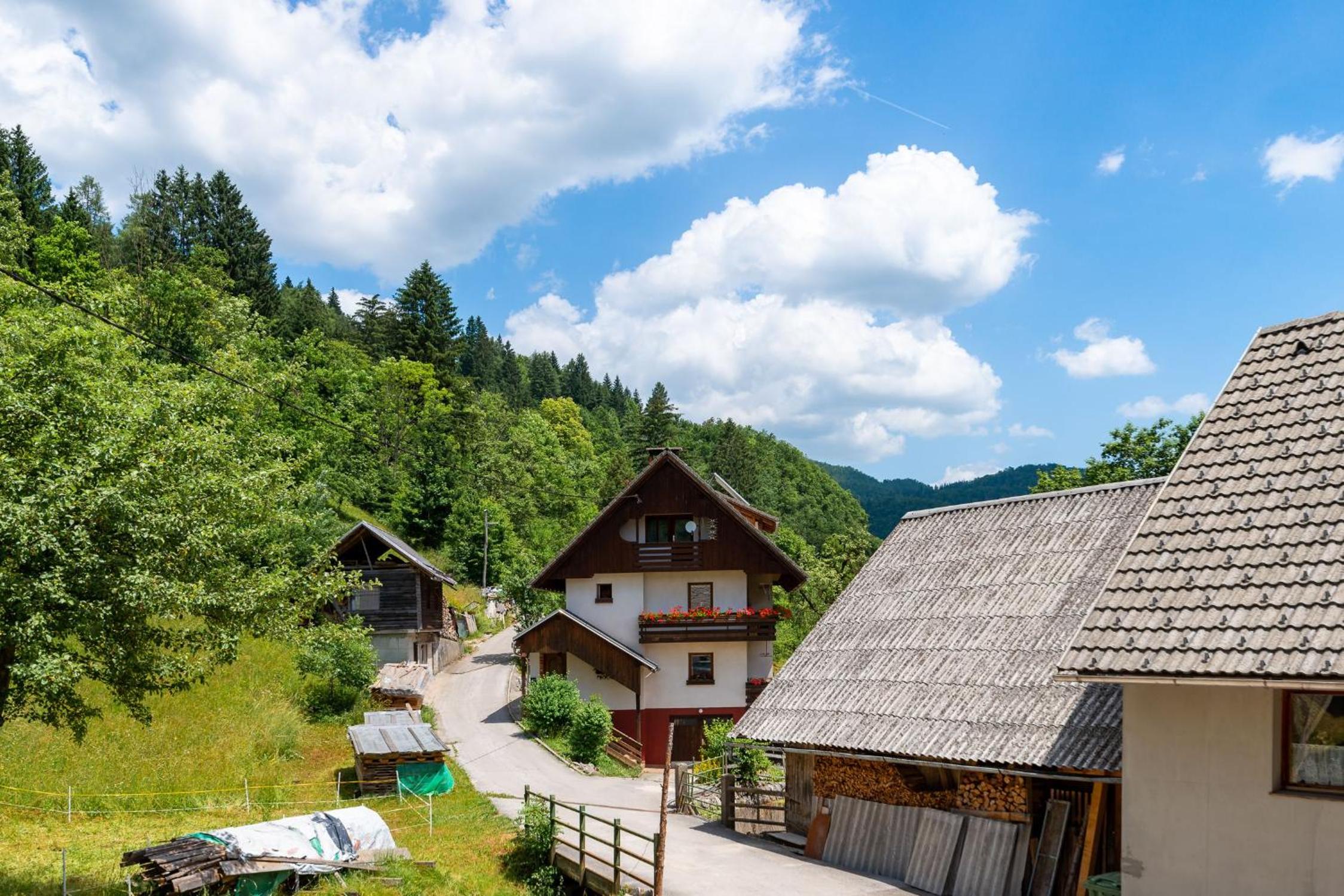 Rudnica House view 3