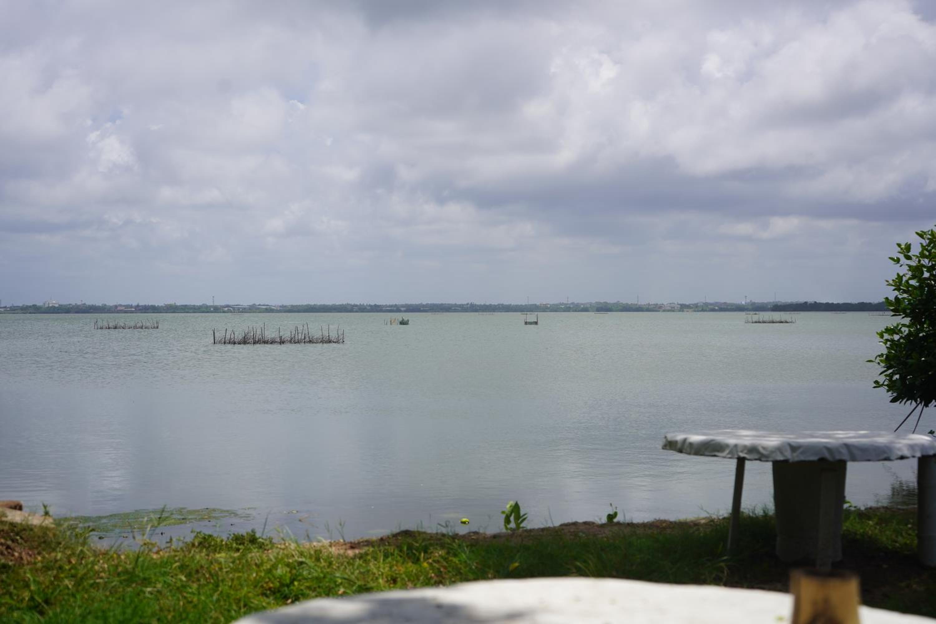 Amaluna Resorts — photo 147