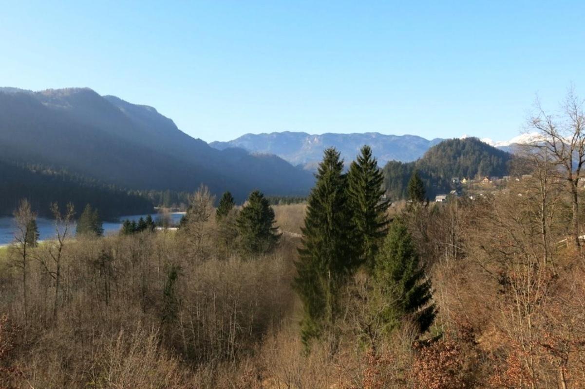 Sava View 8