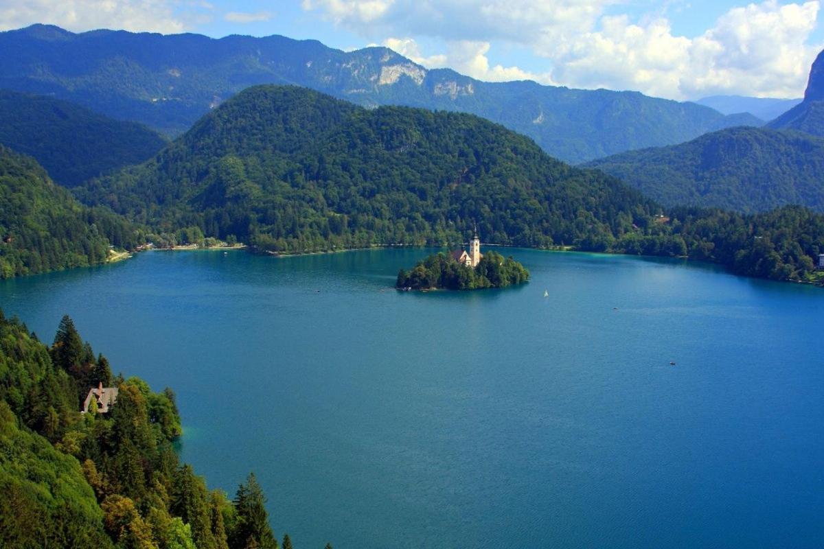 Sava View 8