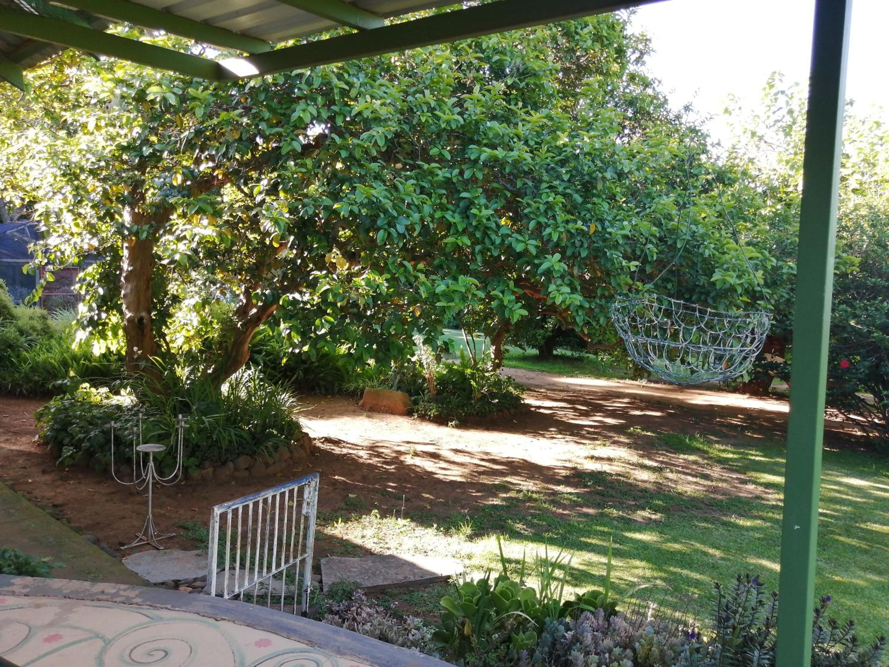 Photo 11