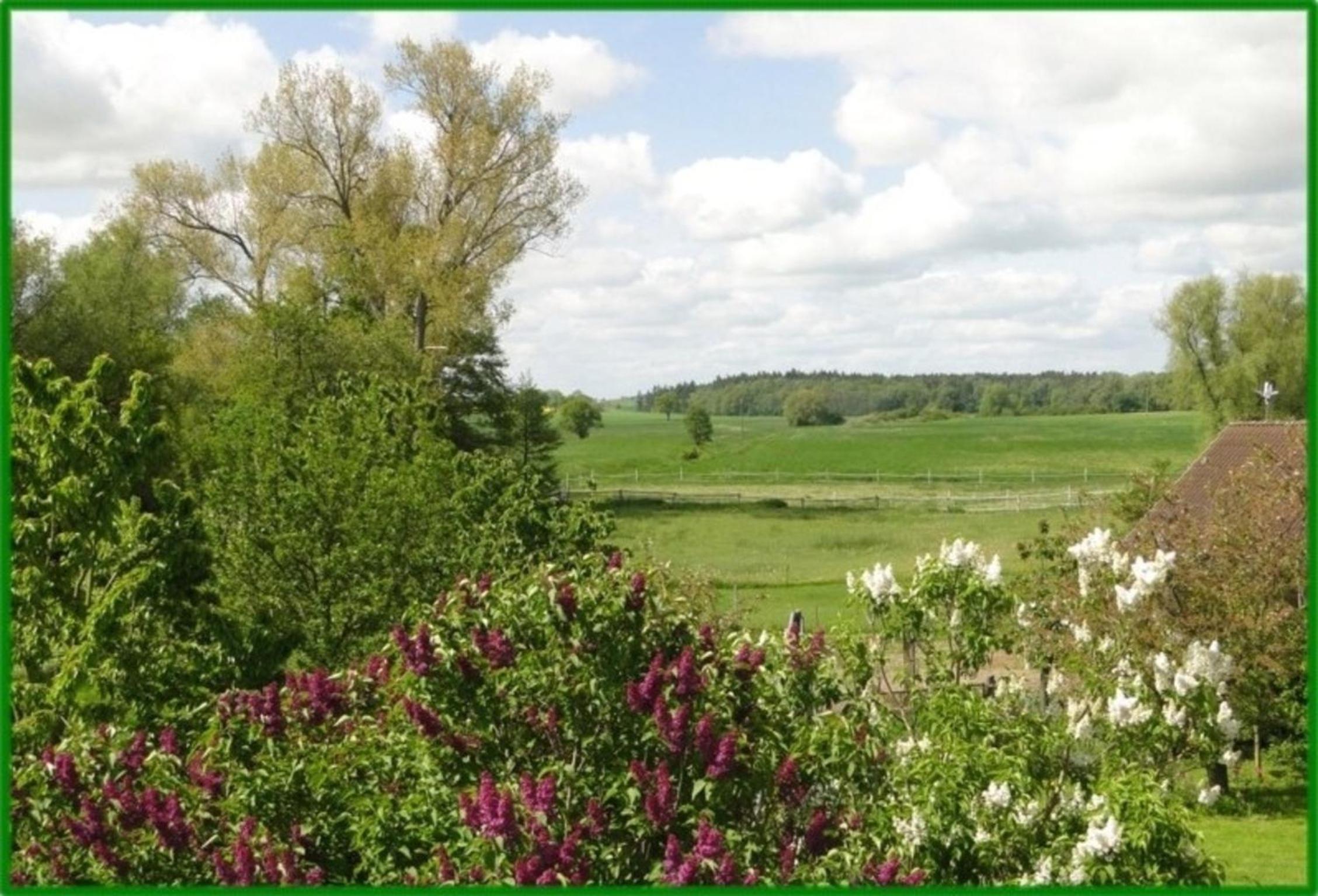 Ferienhof Winther 2