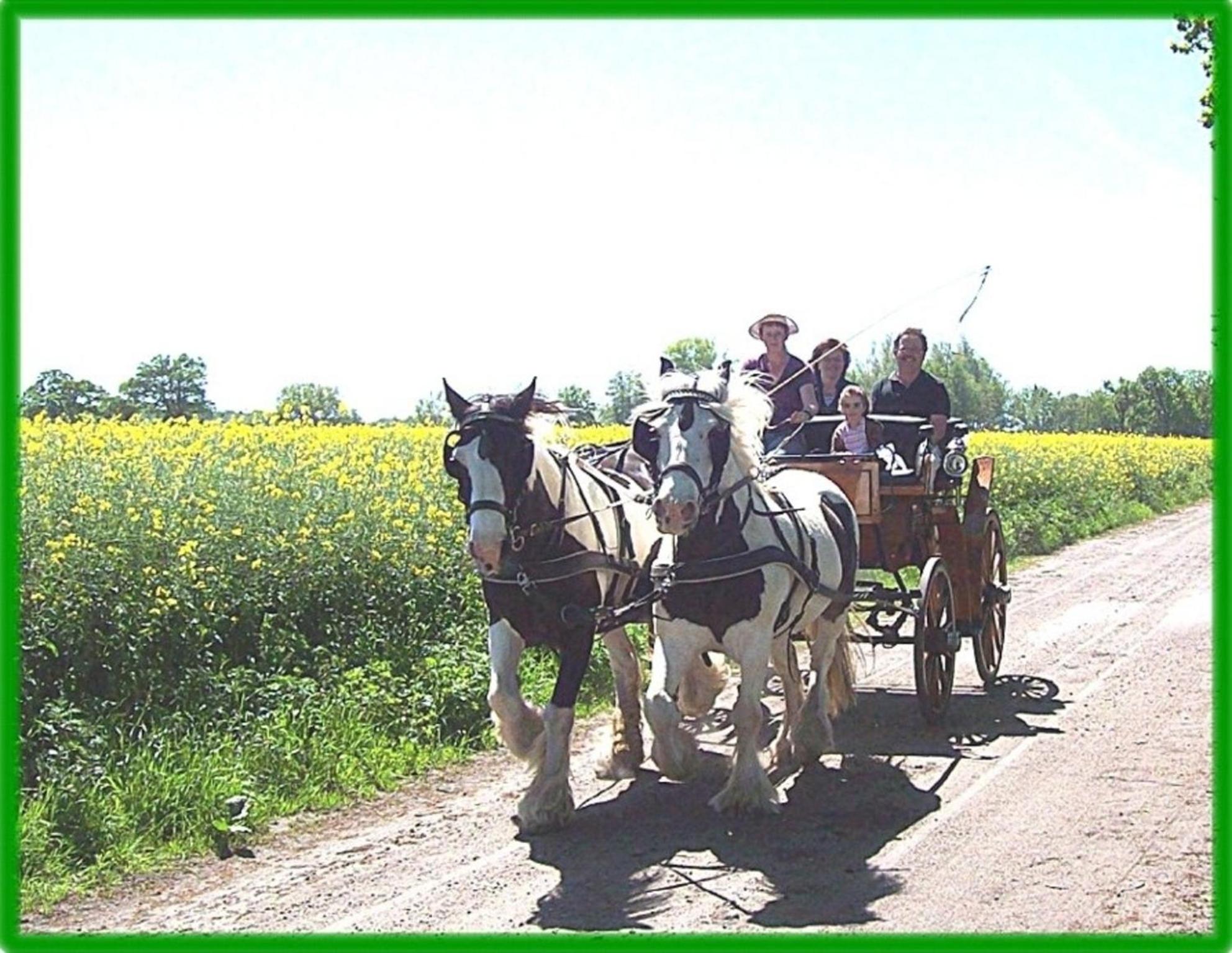 Ferienhof Winther 2