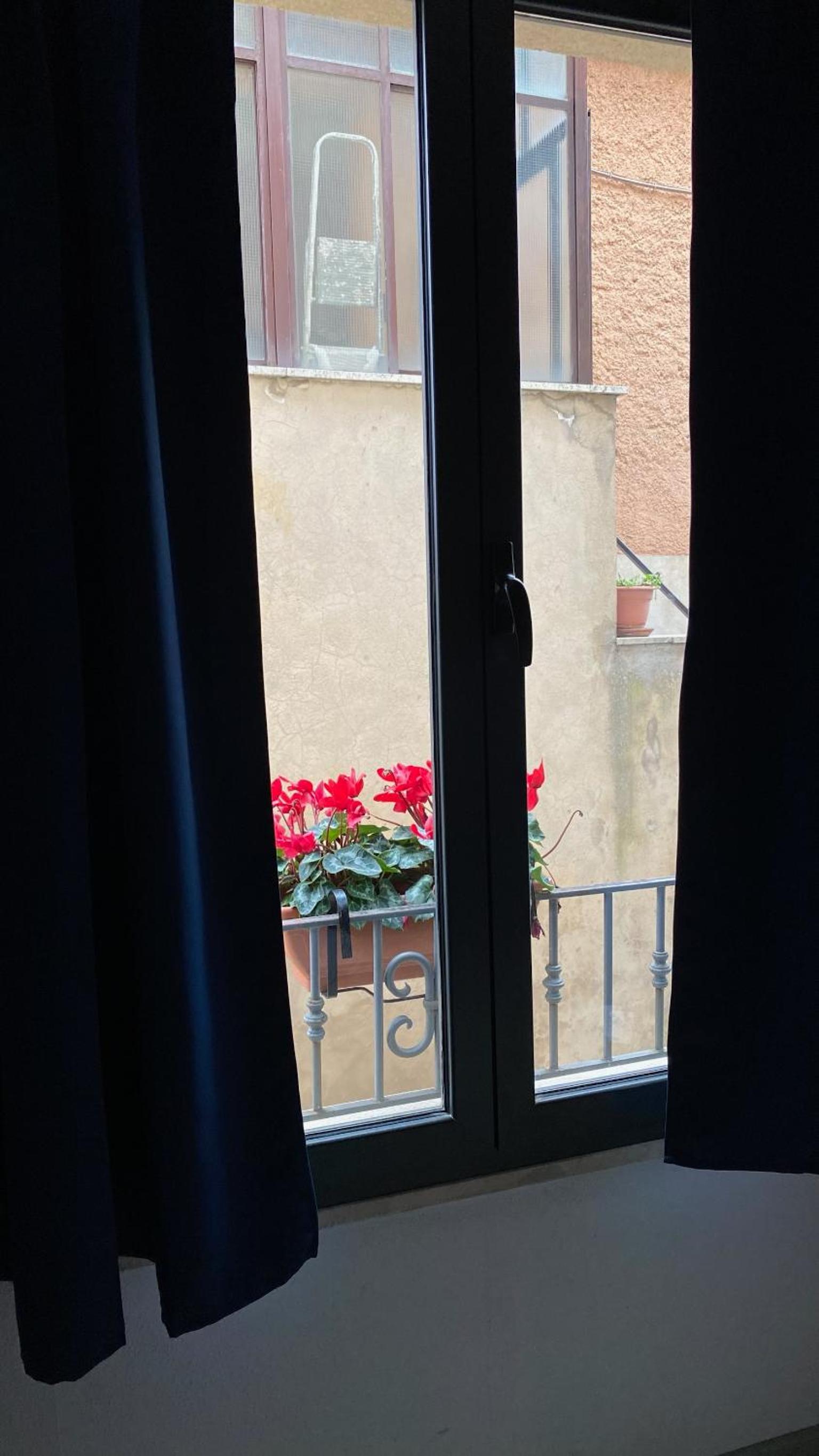 Photo 44