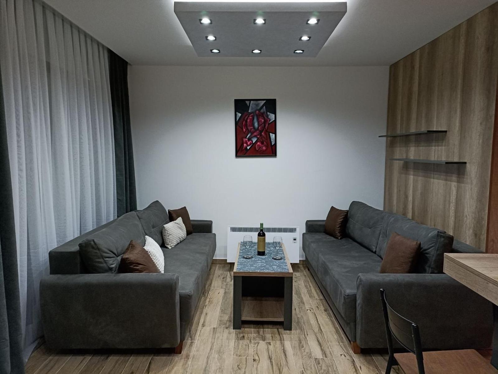 Apartmani ANA - Kopaonik, Treska view 4
