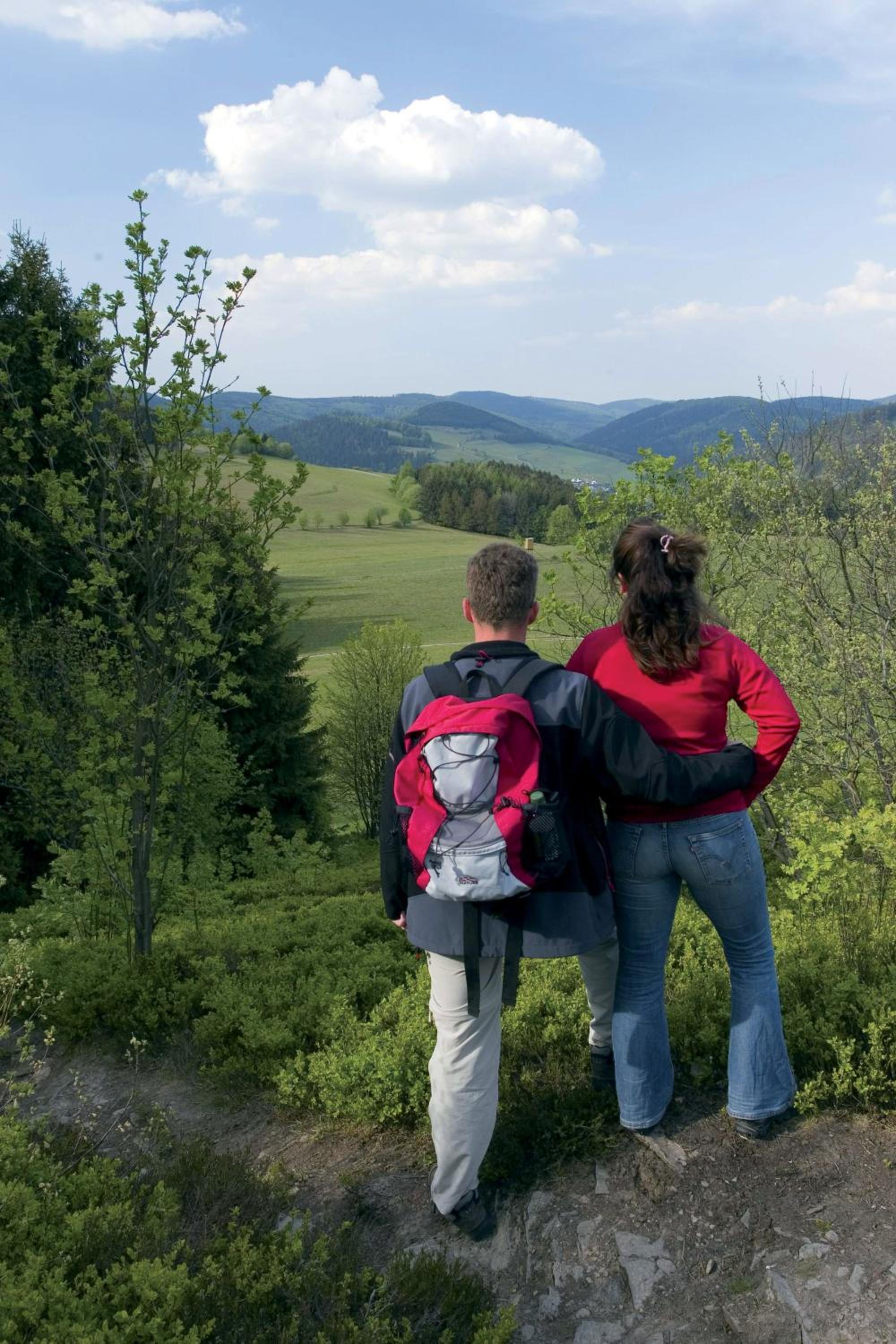 Sauerland-Tinyworld - Ihr Tiny Ferienhaus am Rande des Sauerlandes, Nähe Diemelsee