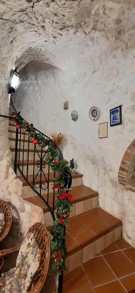 Photo 46