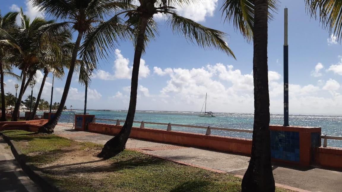 Gite pawoka à 2 min de plage du bourg de Sainte-Anne view 5
