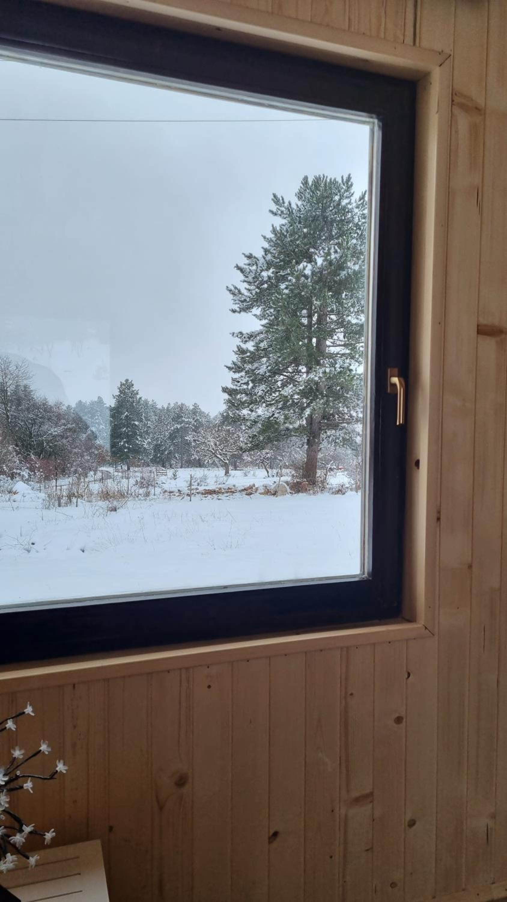 AA Pine vikendica za izdavanje u srcu Zapadne Srbije