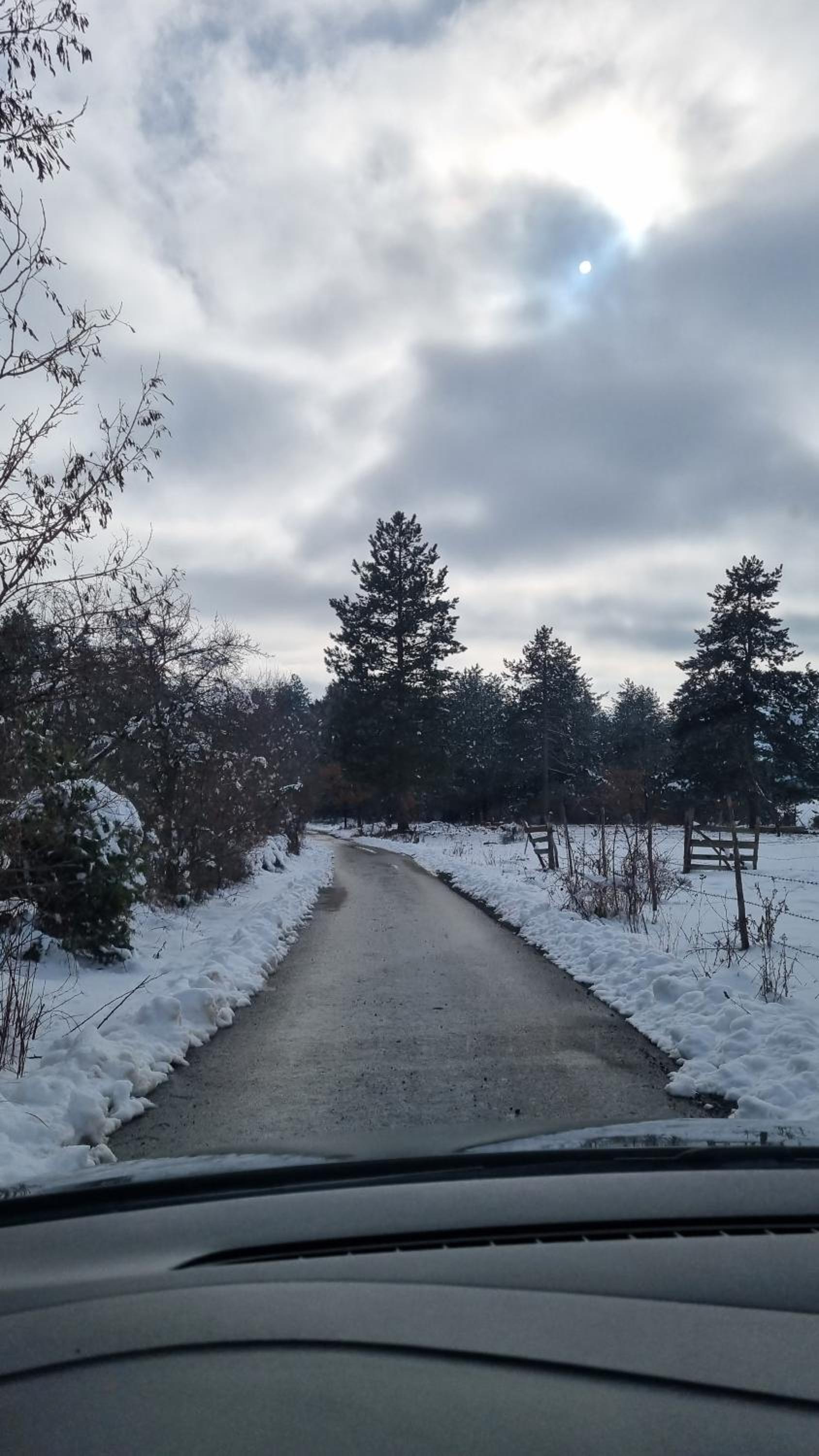 AA Pine vikendica za izdavanje u srcu Zapadne Srbije