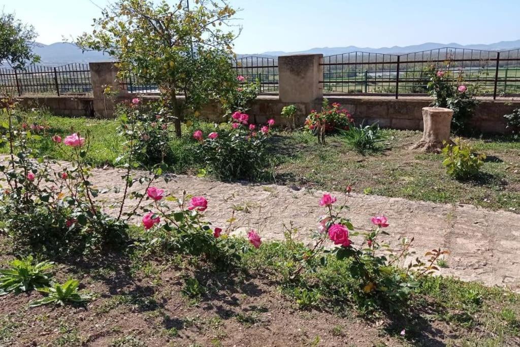 Casa Bellavista