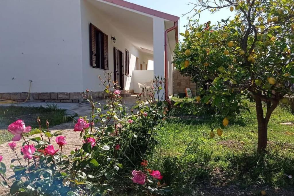 Casa Bellavista