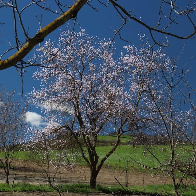 La Ca' Tòrta - Rustico ristrutturato