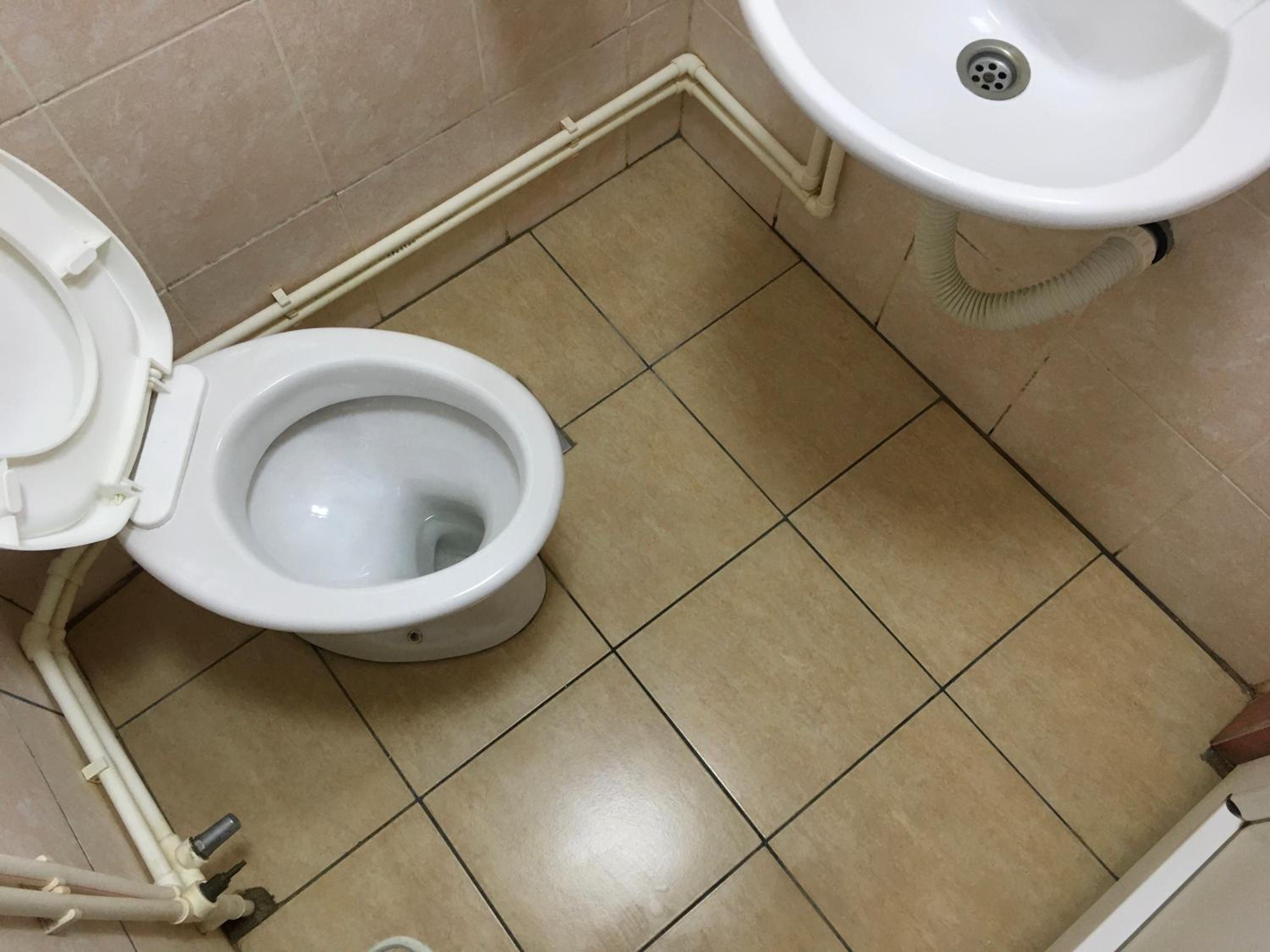 Photo 43