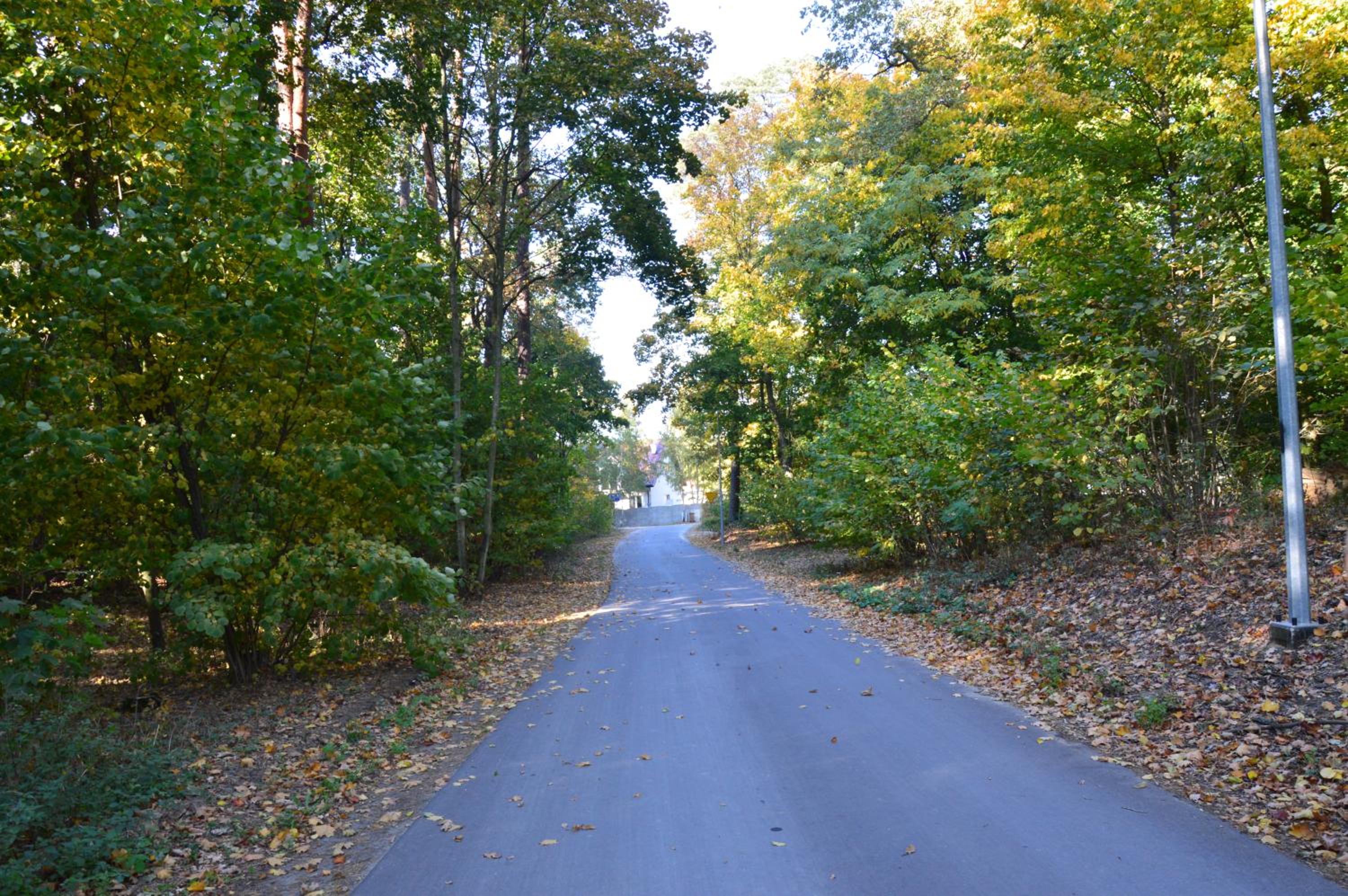 Photo 43