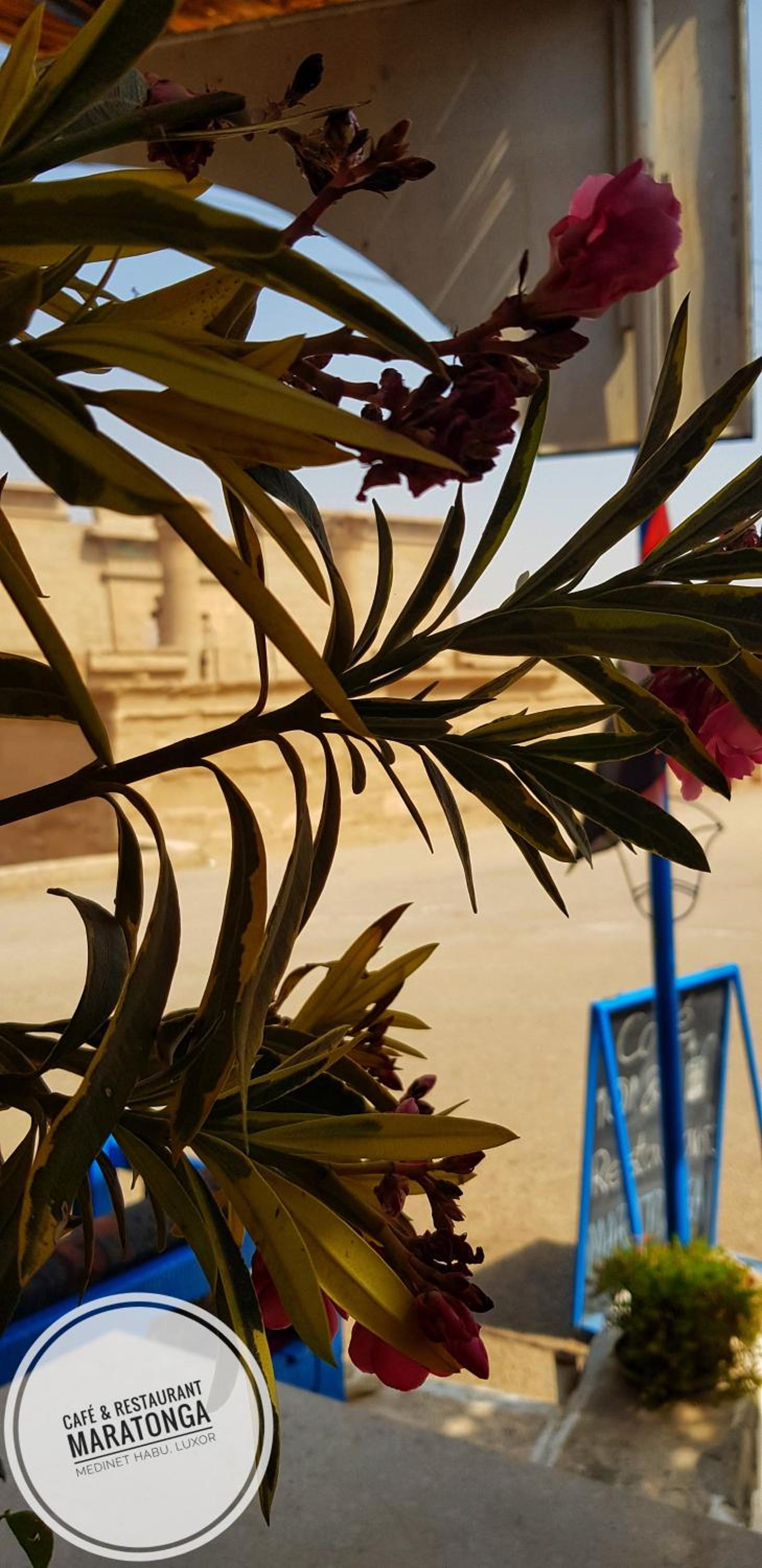 HabuHeritageHomeStayInLuxor