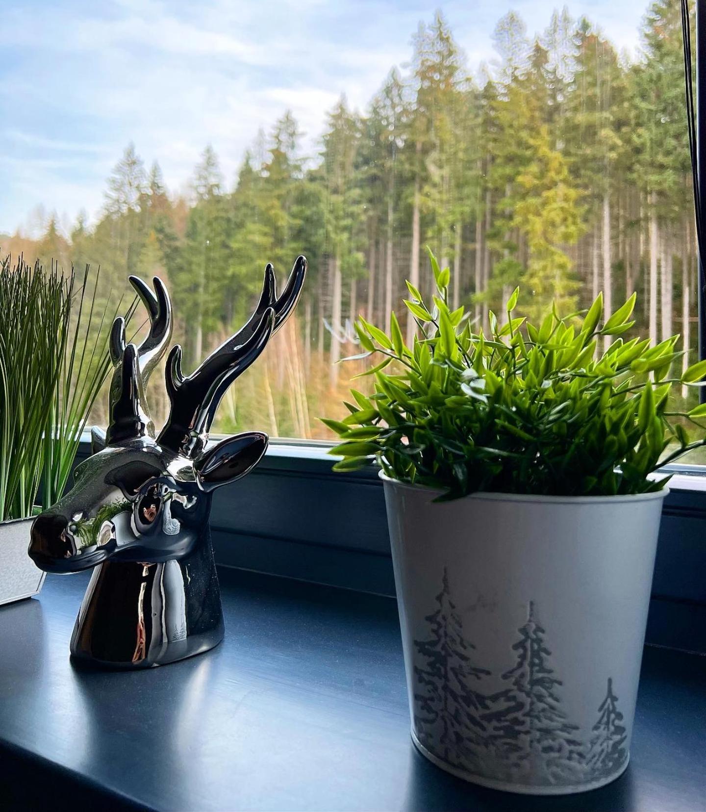 U jelena Harrachov - rodinný apartmán u lesa s garáží