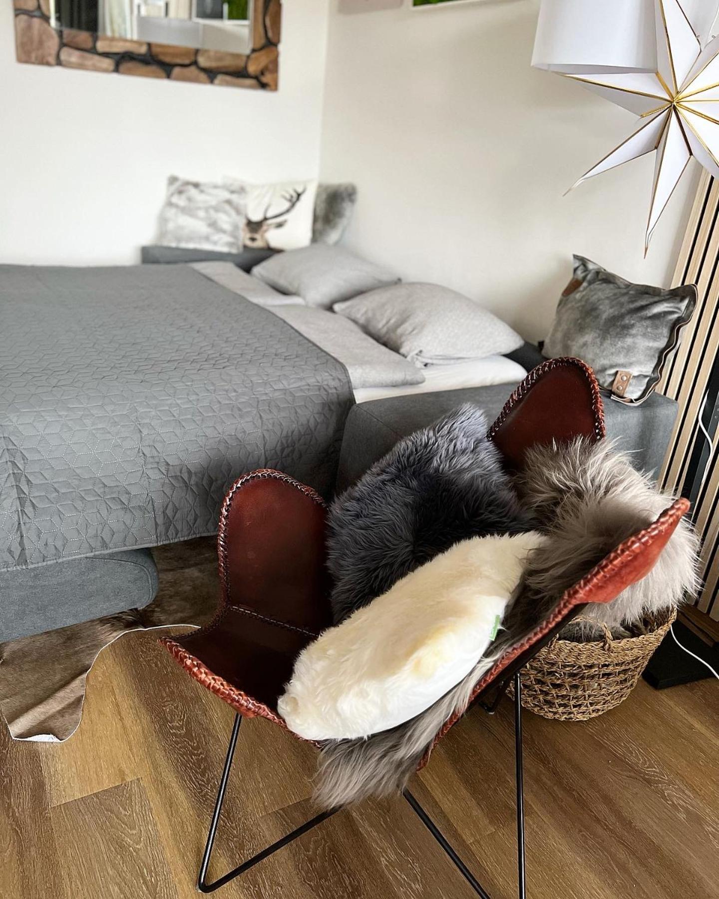 U jelena Harrachov - rodinný apartmán u lesa s garáží