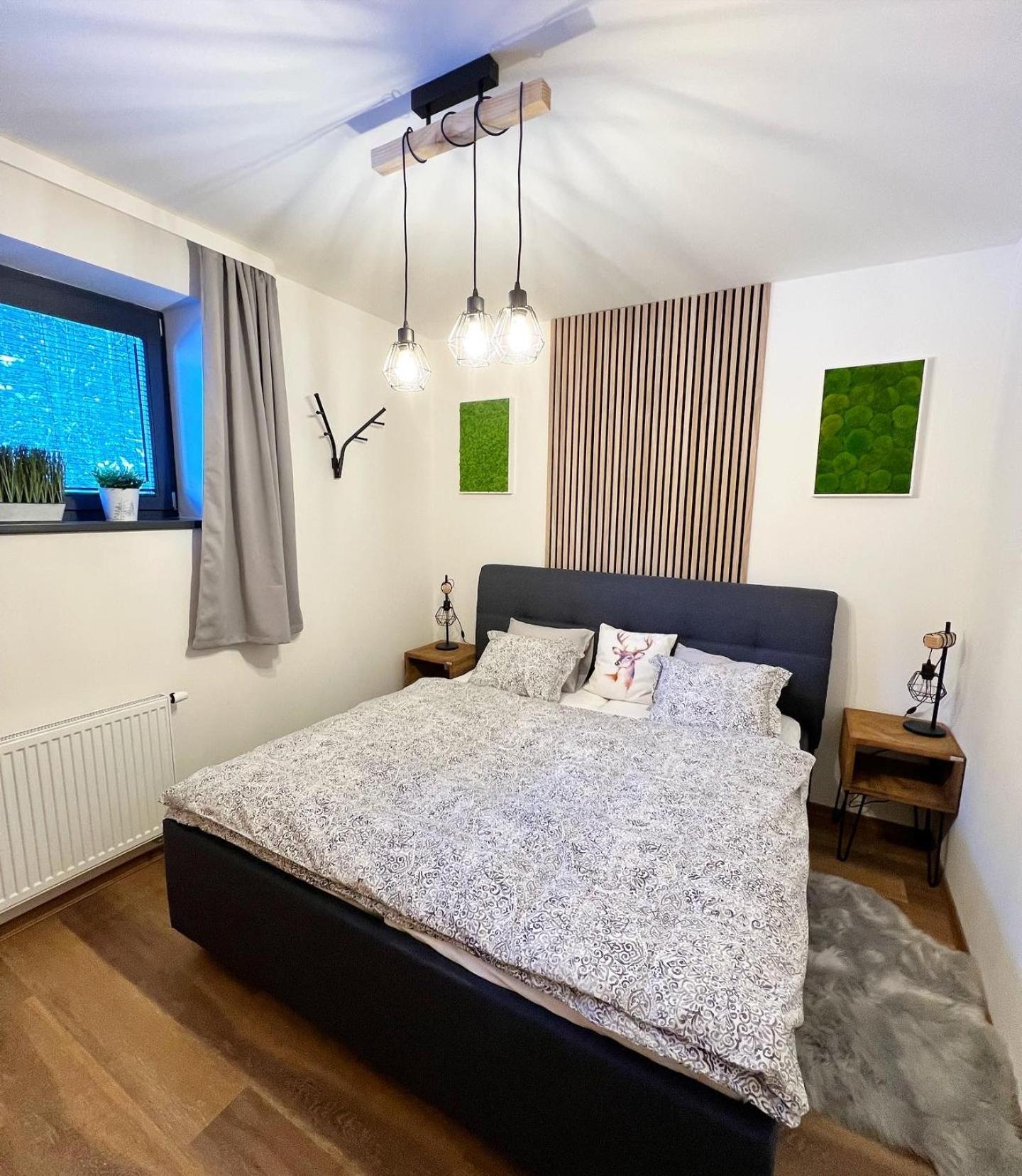 U jelena Harrachov - rodinný apartmán u lesa s garáží