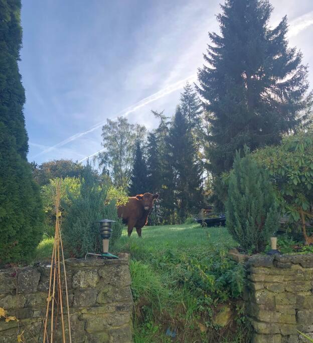 Ferienwohnung Tillmanns