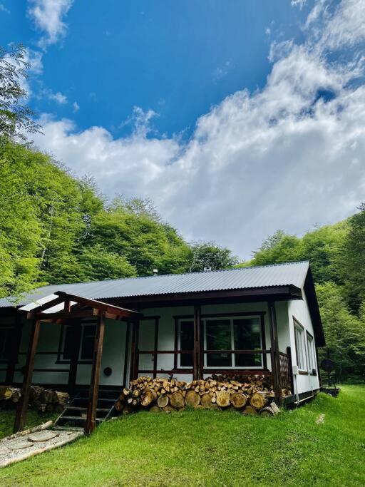Cabaña en el bosque de Llanos del Castor