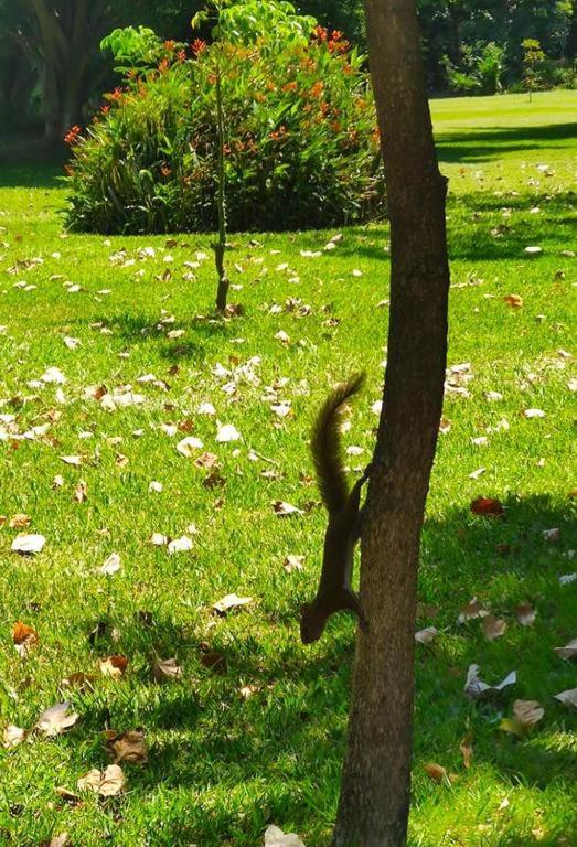 Casa Vida - Arte, Naturaleza y Confort