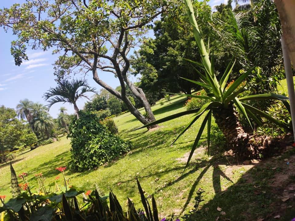 Casa Vida - Arte, Naturaleza y Confort