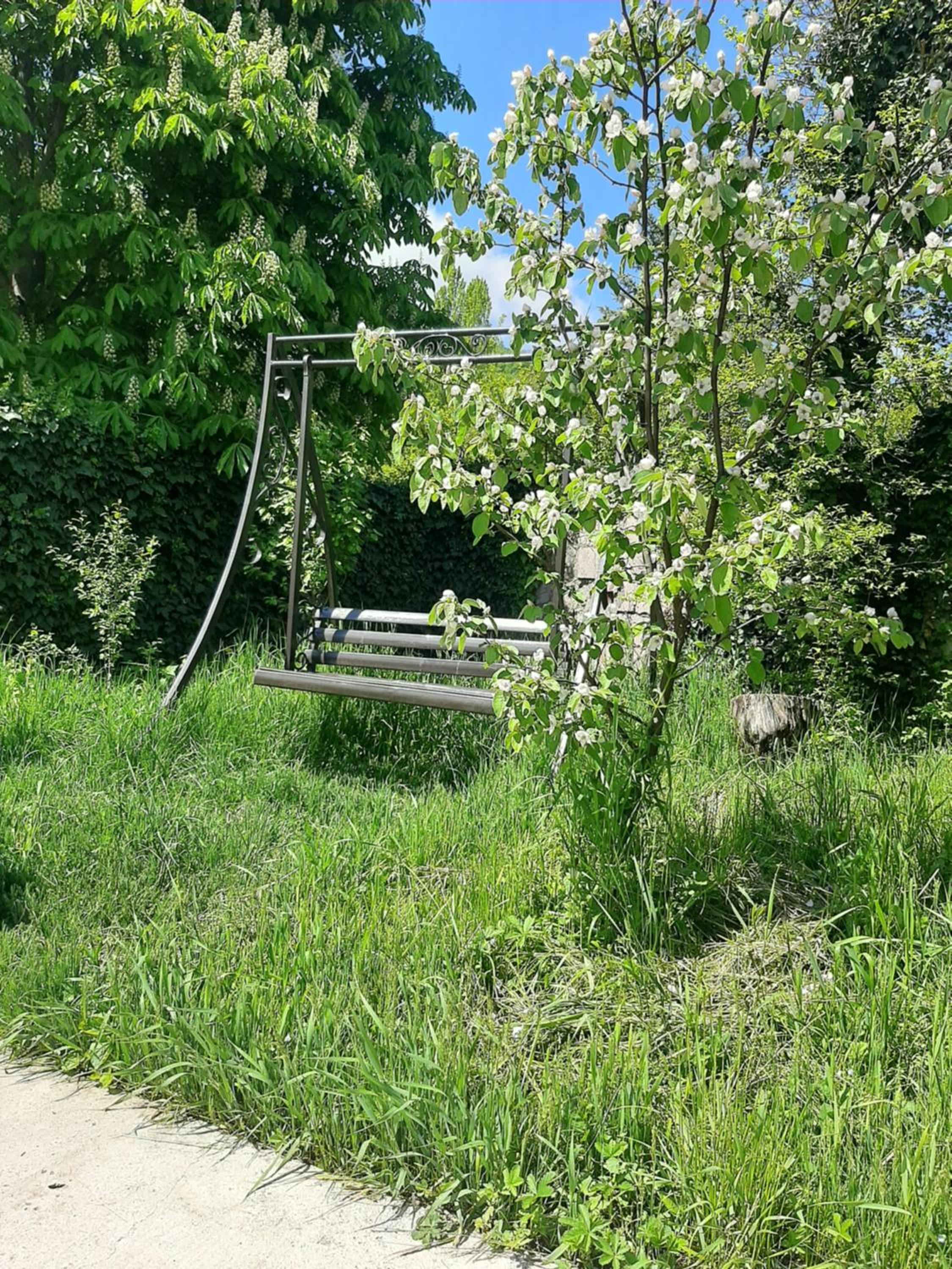 Paloma Inn Dilijan
