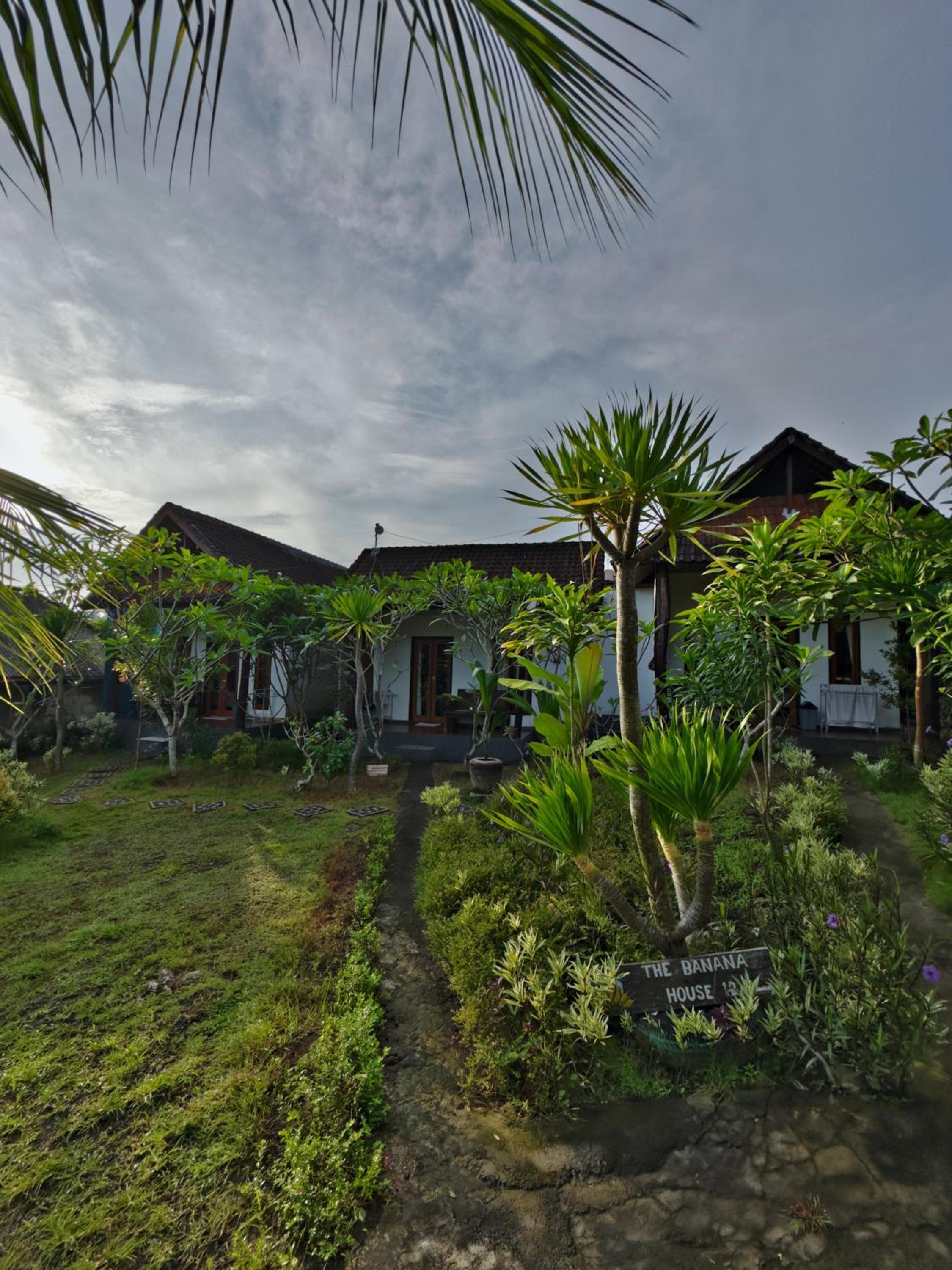 The Banana House view 4