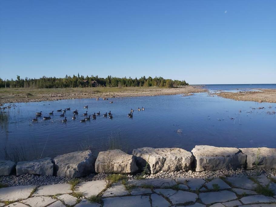 **WATERFRONT**BEAUTIFUL MODERN TOBERMORY COTTAGE