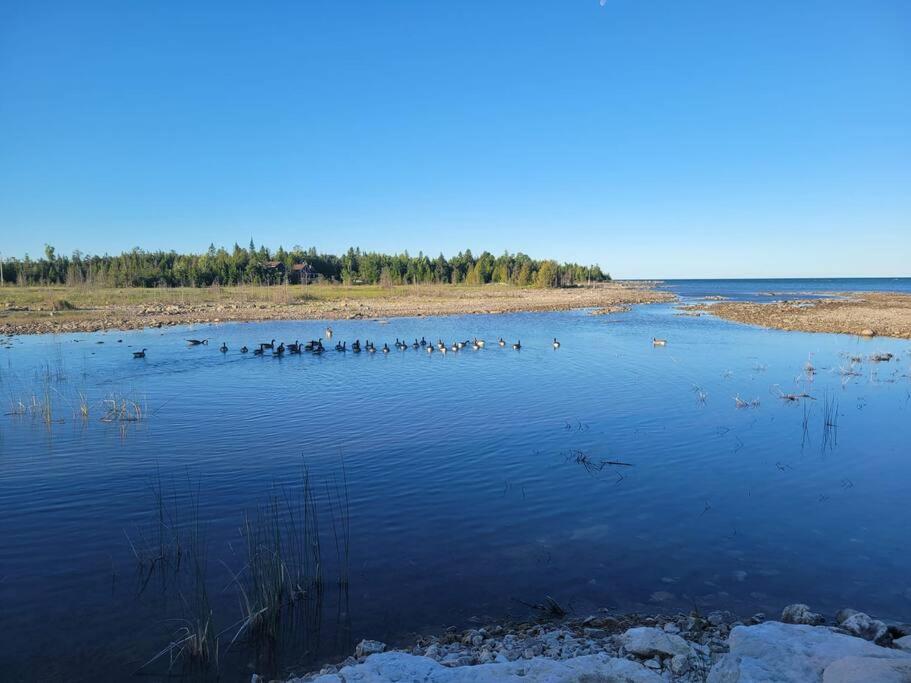 **WATERFRONT**BEAUTIFUL MODERN TOBERMORY COTTAGE