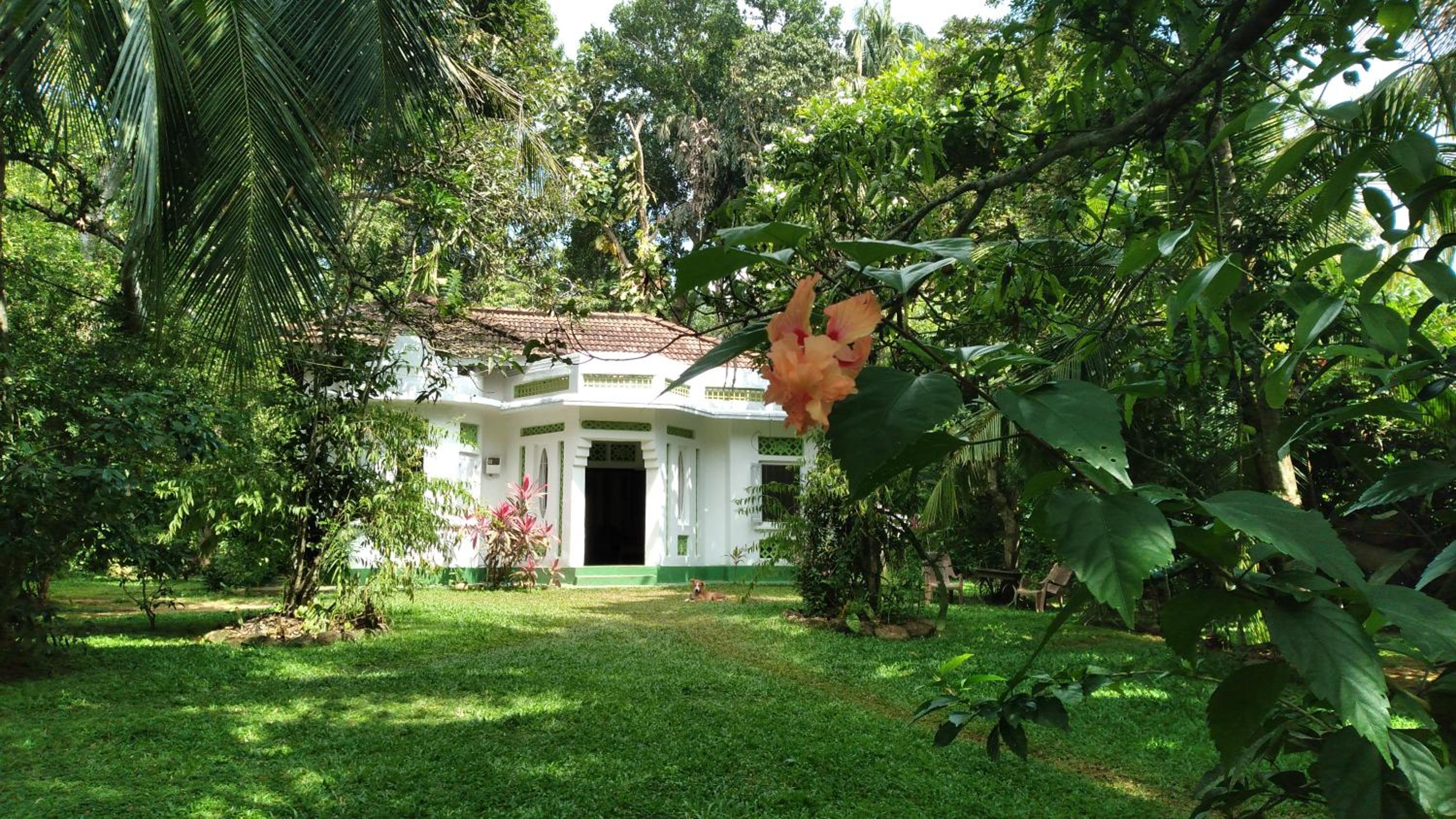 House Colonial