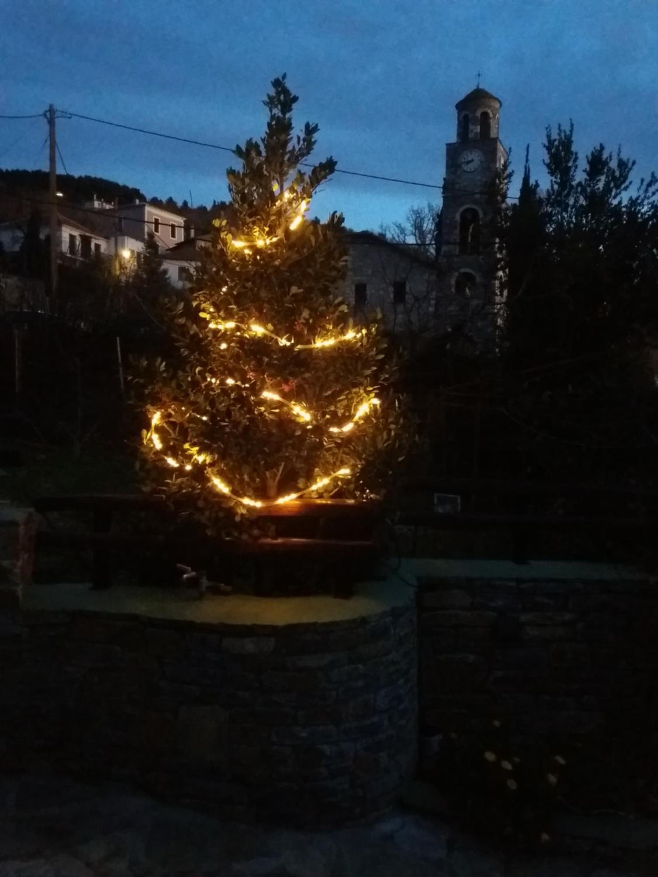 Photo 6