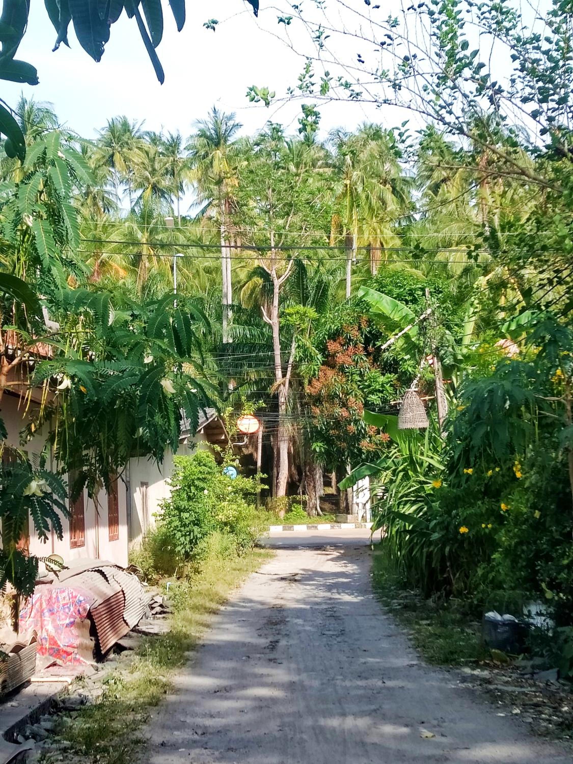 Suwantana Lanta Houses view 4