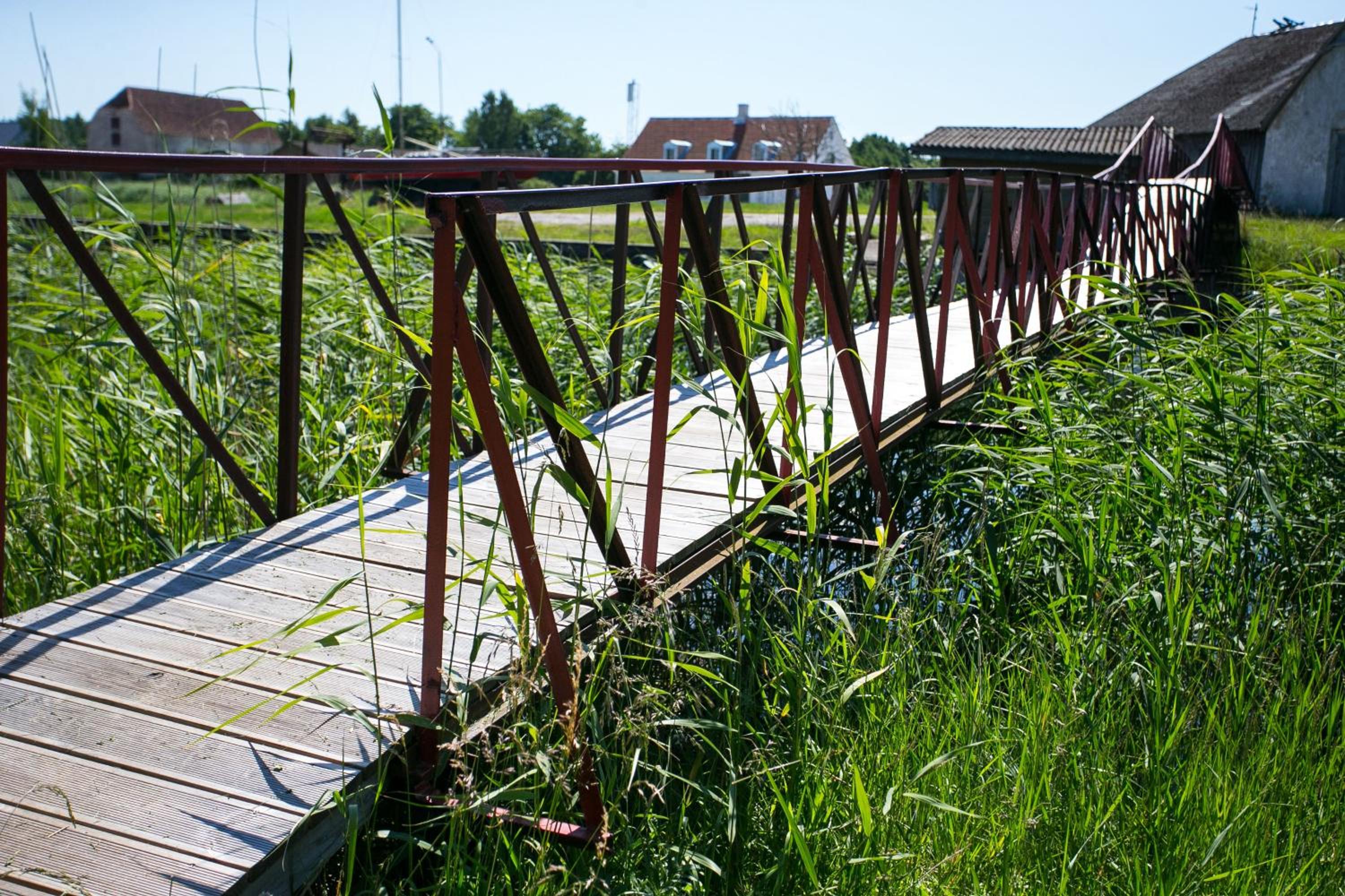Photo 22