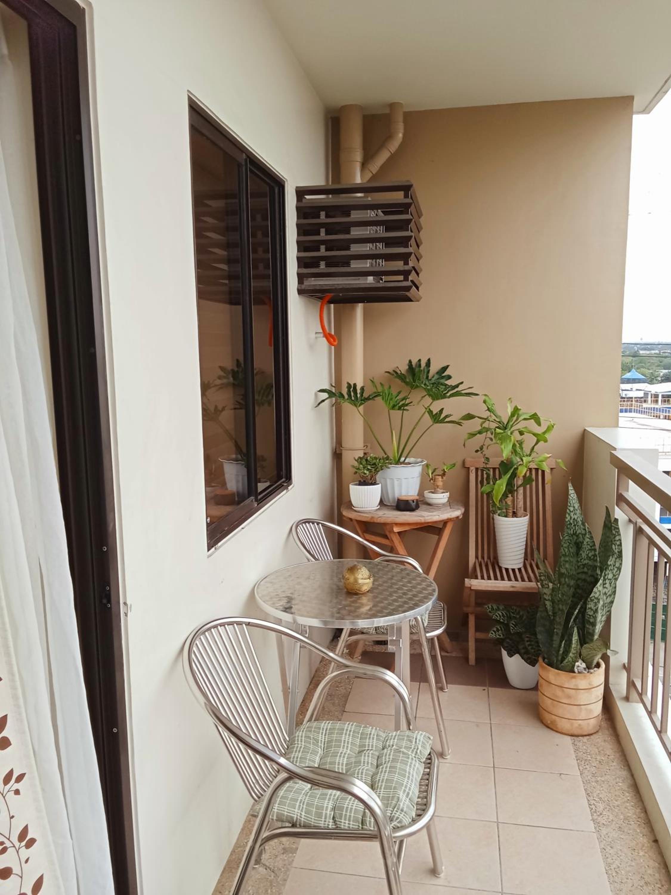 Joey's Place Calathea DMCI
