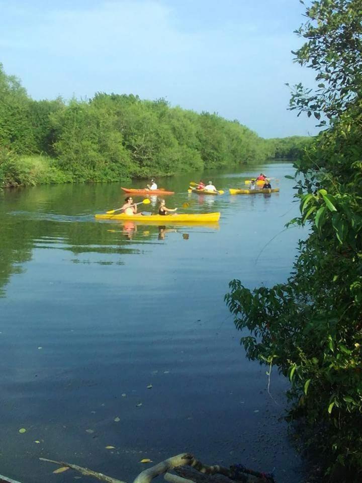 Photo 62