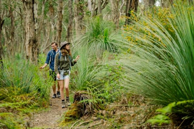 Southern Ocean Retreats - Deep Creek National Park