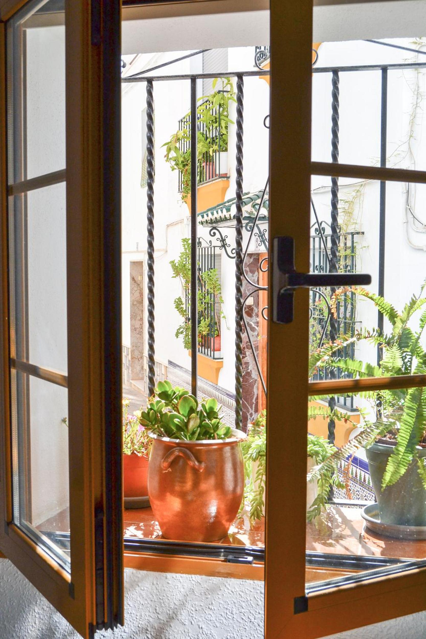 Casa típica y terraza, maison andalouse, typical house with rooftop view 4
