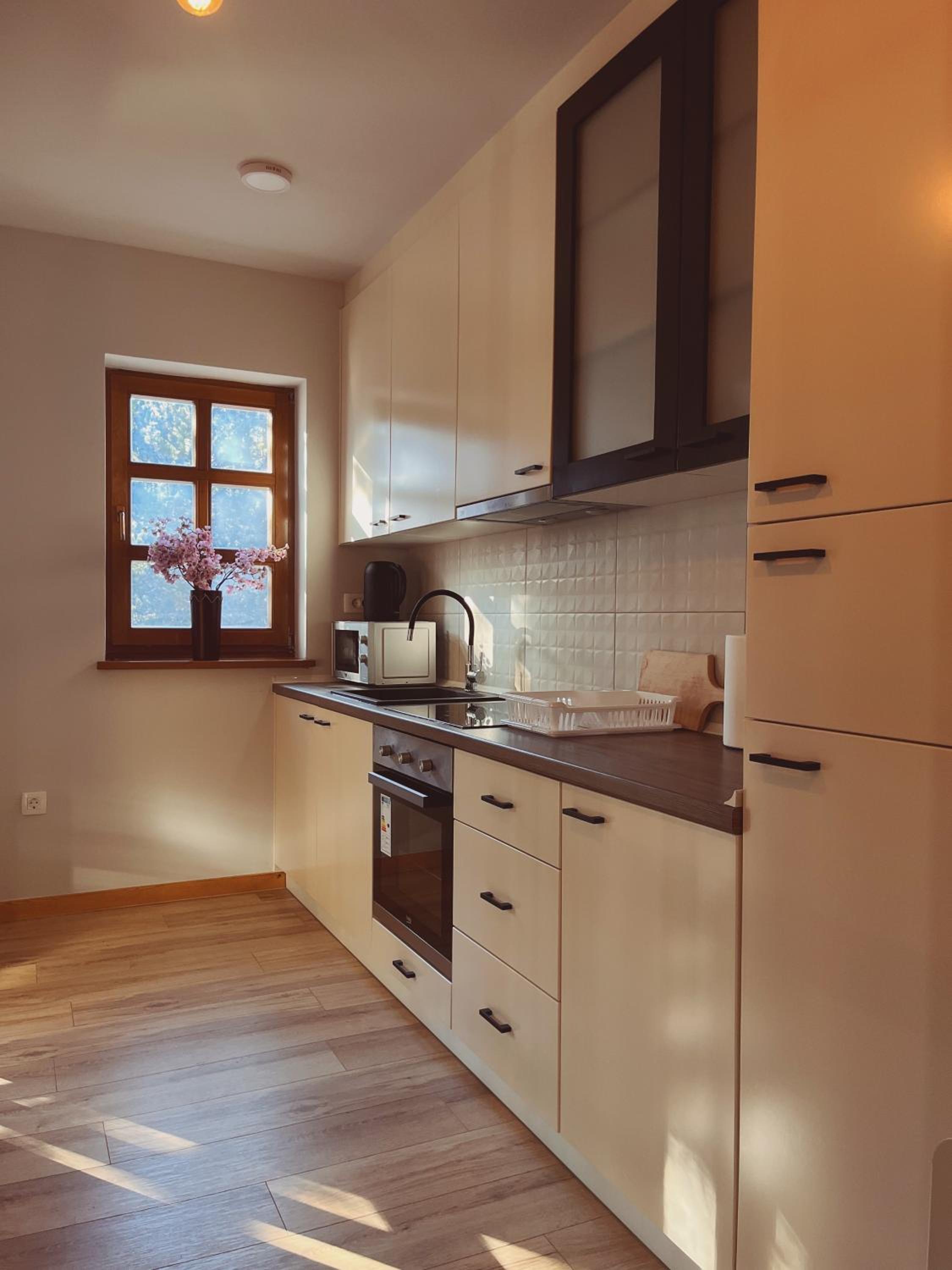 Apartmani Astra