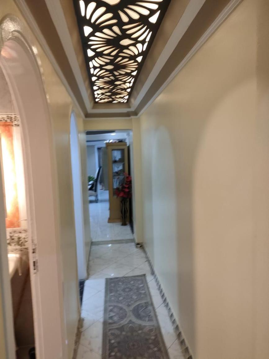 شقق المنيل