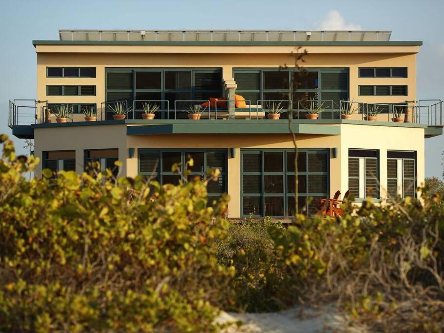 Search for "Pure Nirvana Blue"