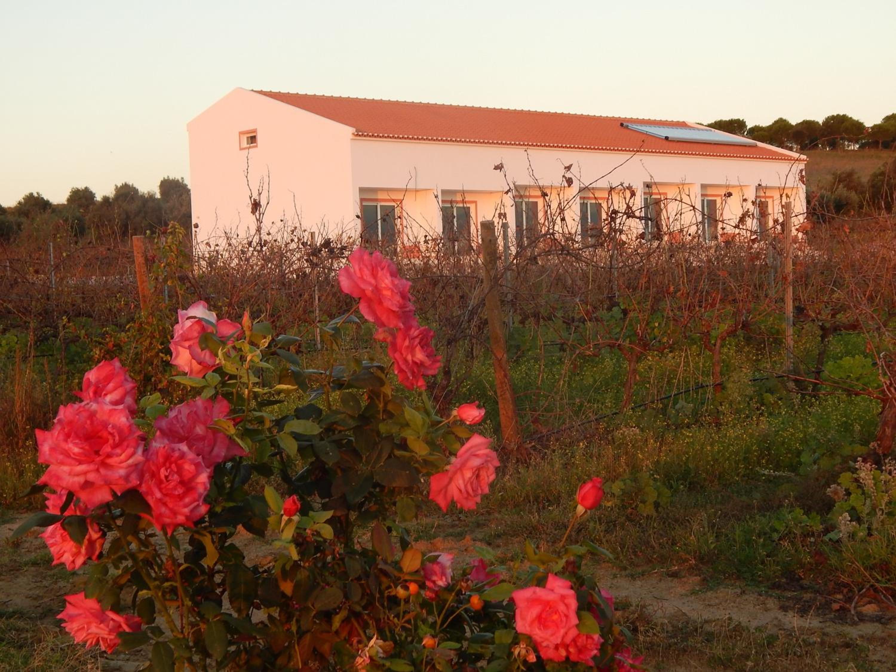 Quinta das Ratoeiras