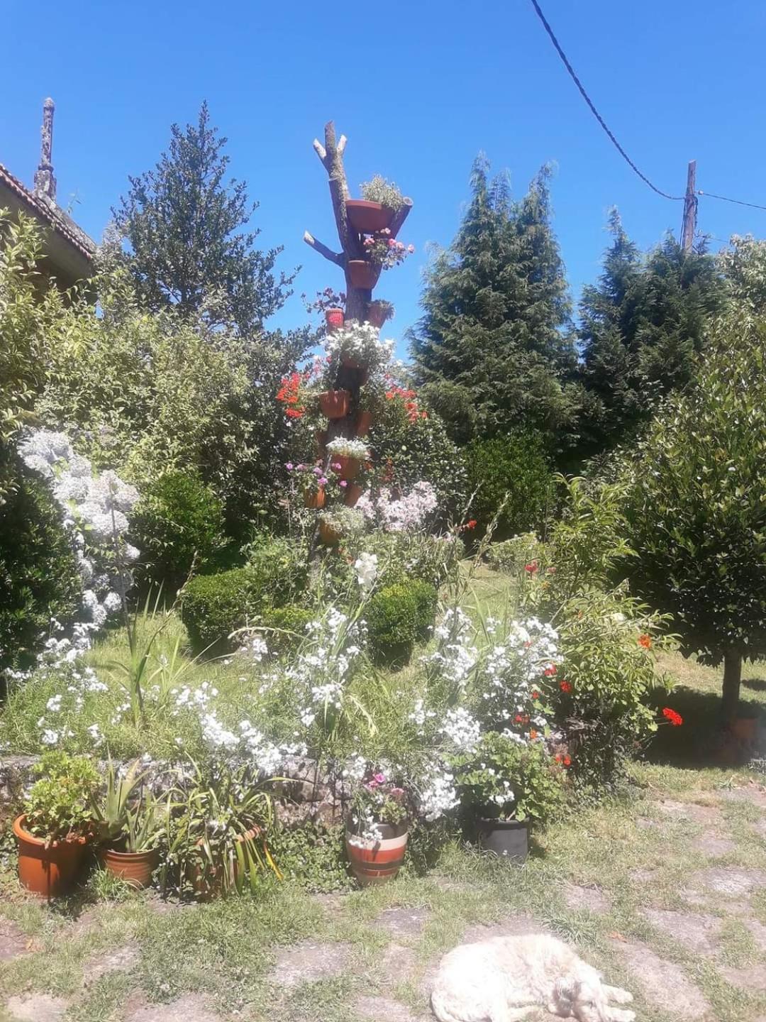 Casa da Carballeira