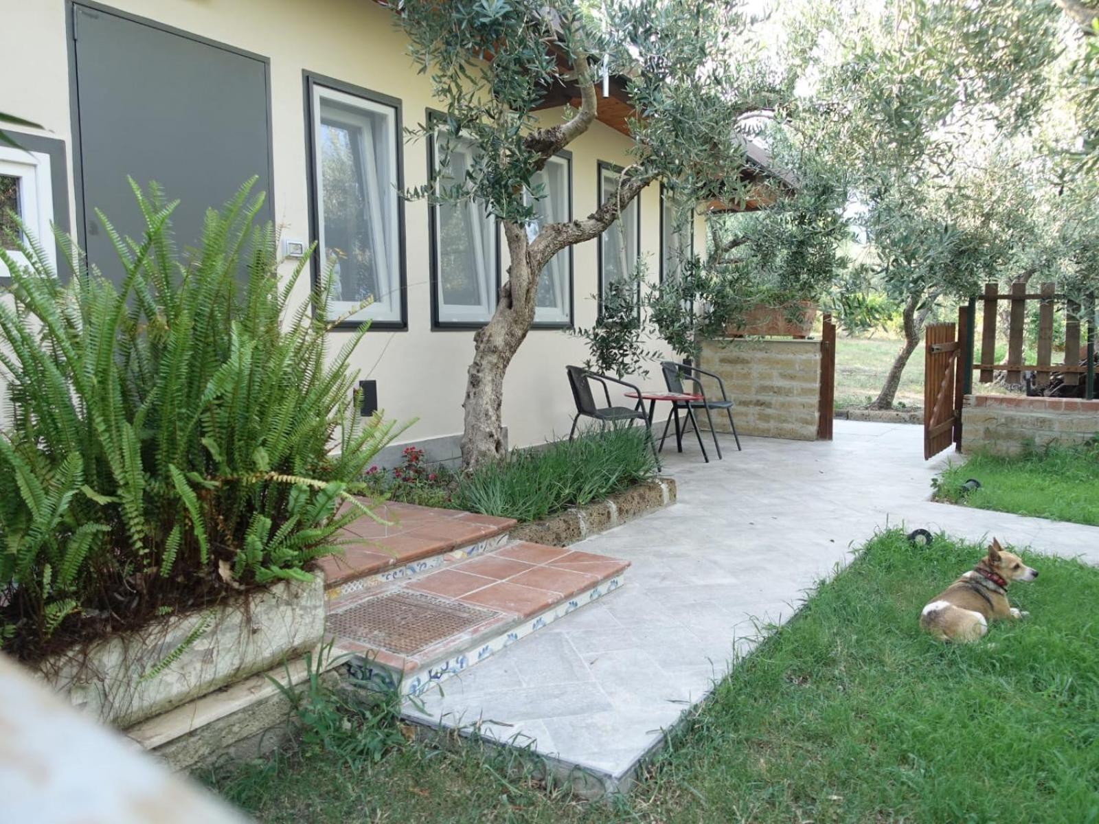 Casa Vacanze Malvarosa view 5